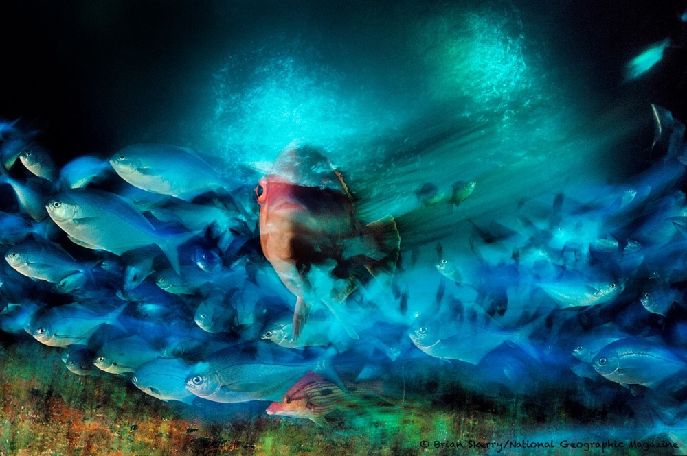 13392264 10209368587110803 7392822121988245633 o