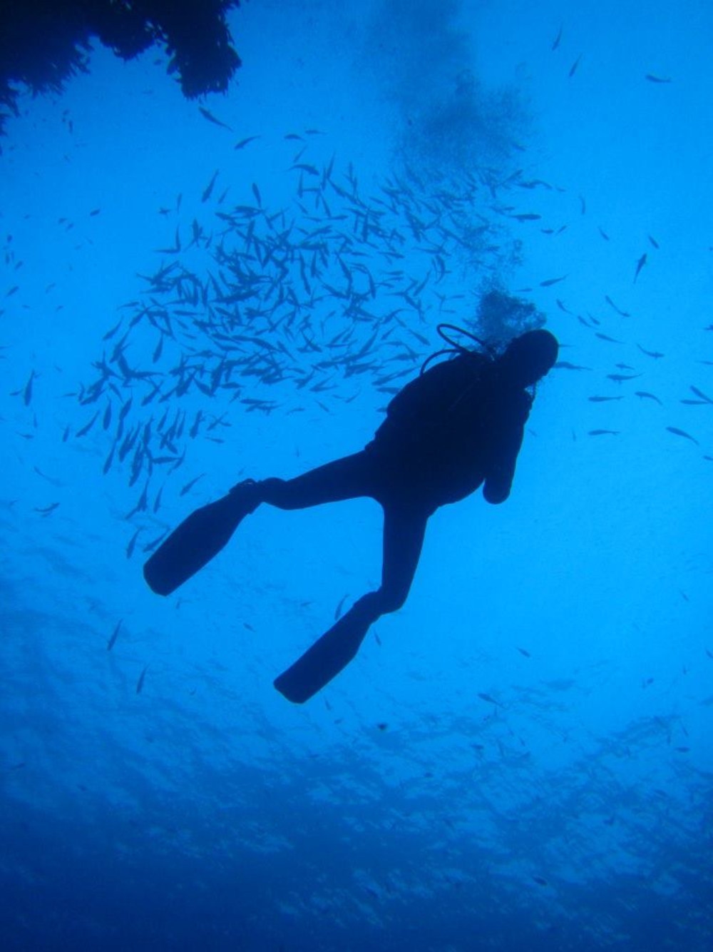 13415652 10157200195105128 2119146204153985496 o