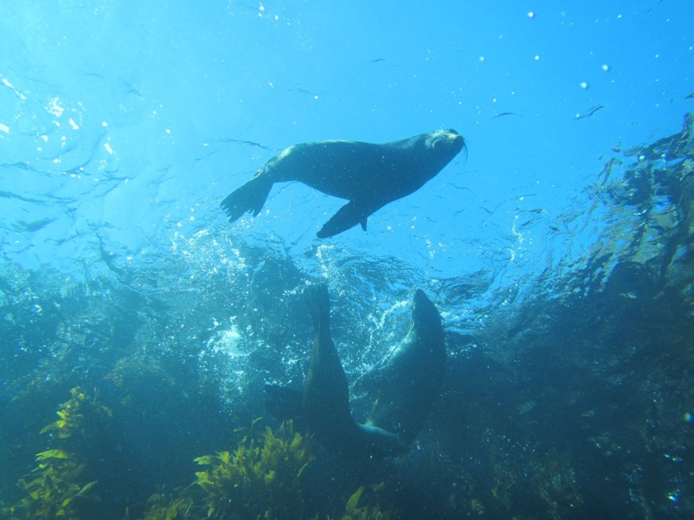 14124955 10157528573915128 8451722354906426481 o