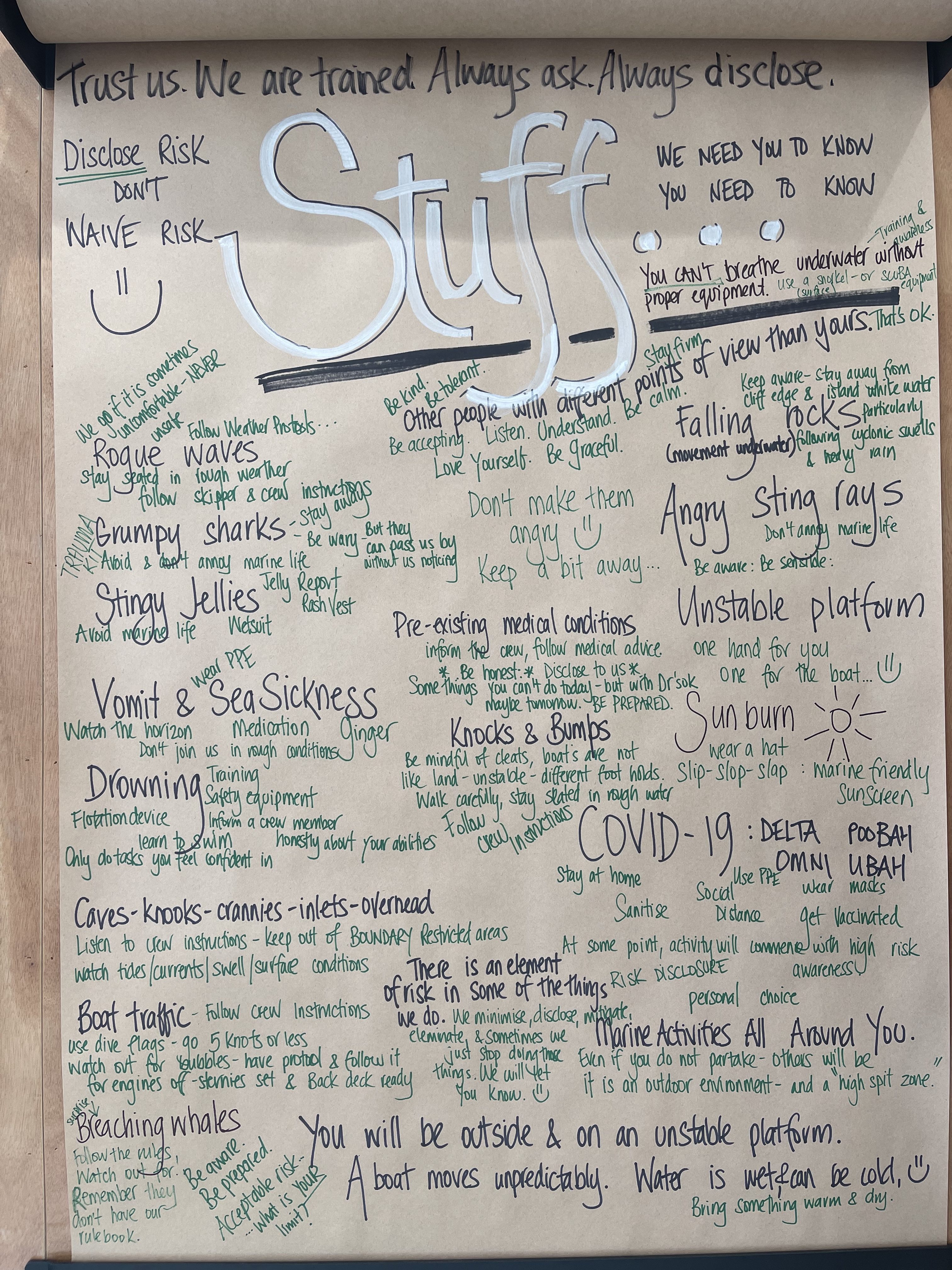 IMG_8568.jpg#asset:2361