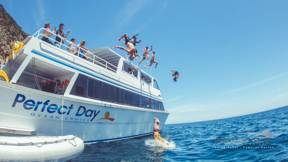 01.02.17-Perfect-Day-3296