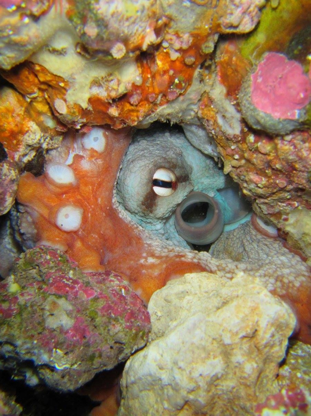 12377788 10156813043925128 5250071740148947977 o