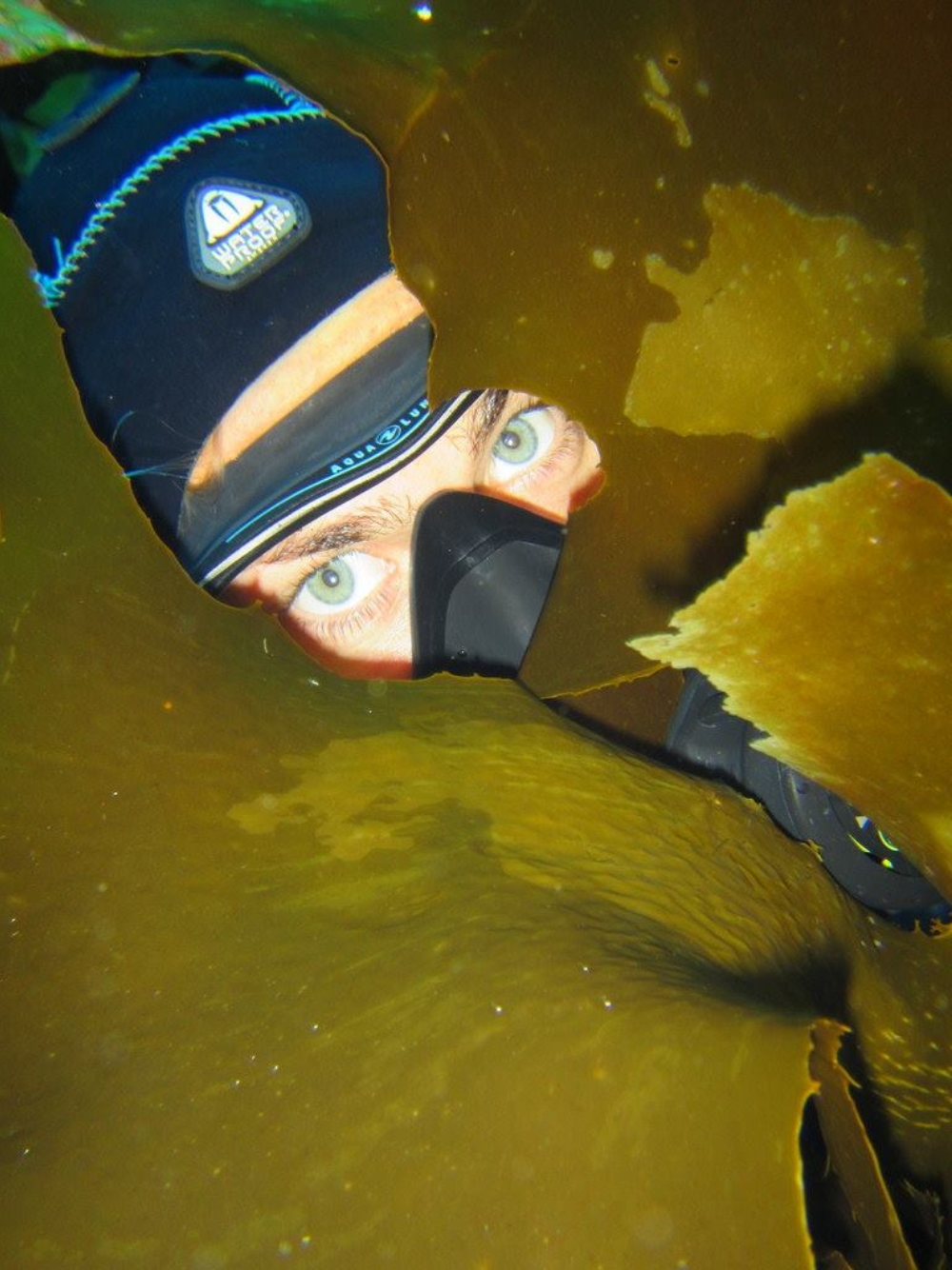 12794869 10156807460510128 1562089426559184017 o