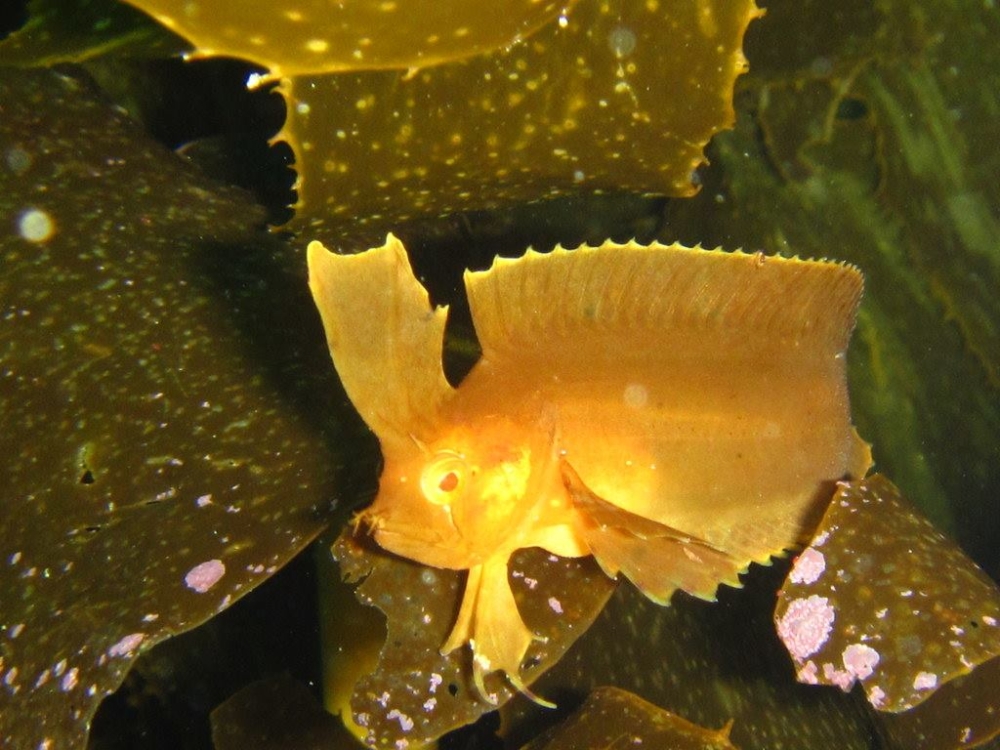 13247892 10157082501985128 4496681660919774835 o