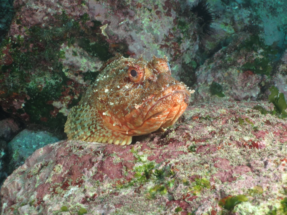 17390744 10158544561070128 7643179092279552853 o