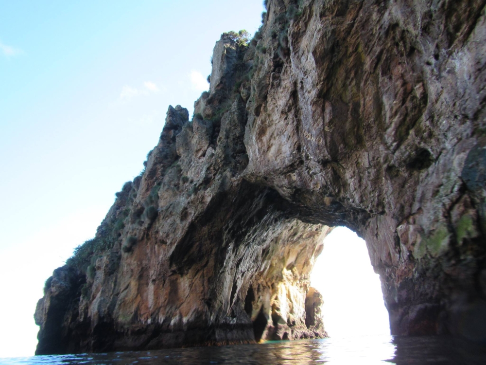 18077084 10158740833060128 7825952060081819853 o