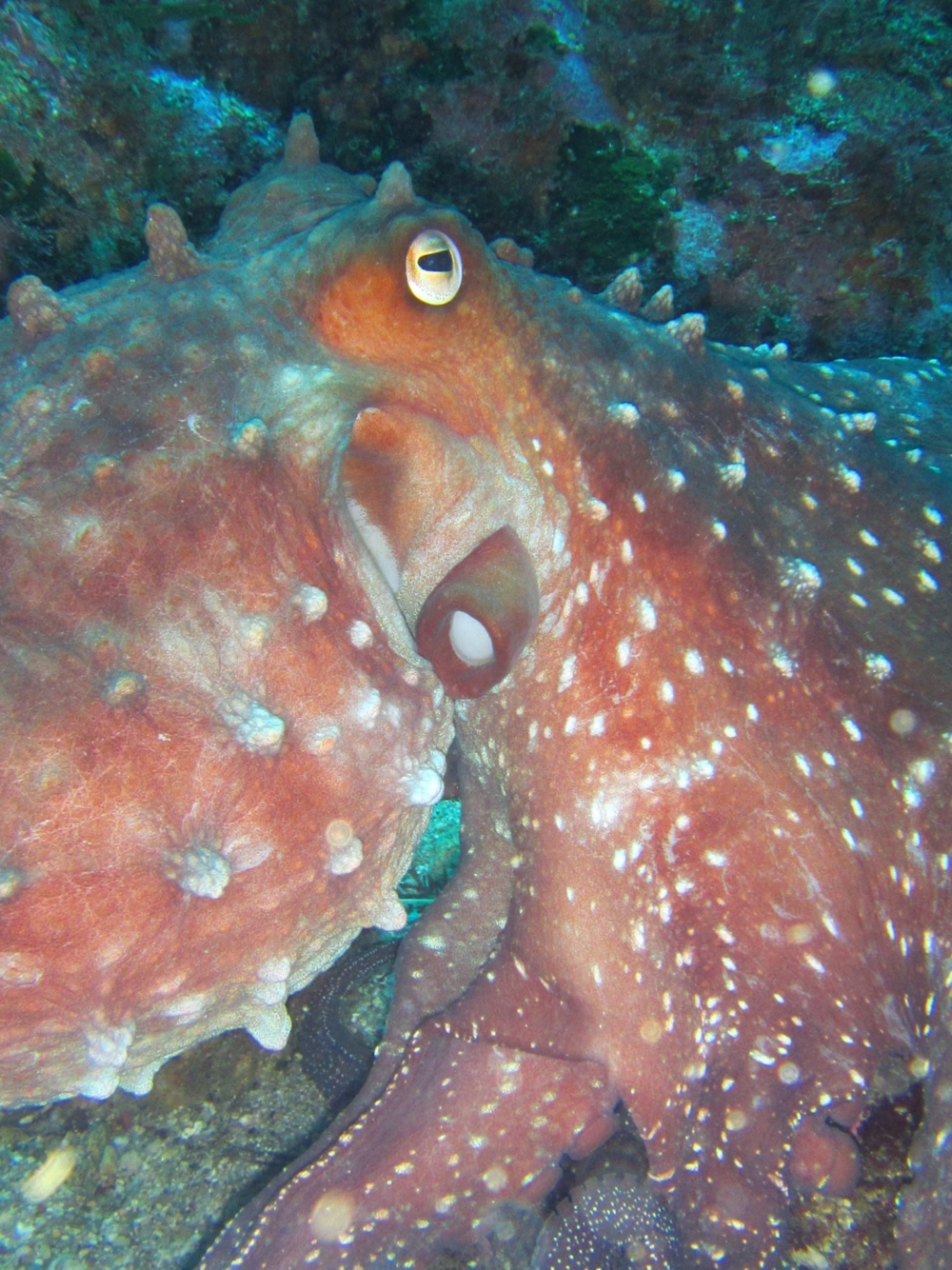 22179911 10159538050990128 3148081155727802205 o