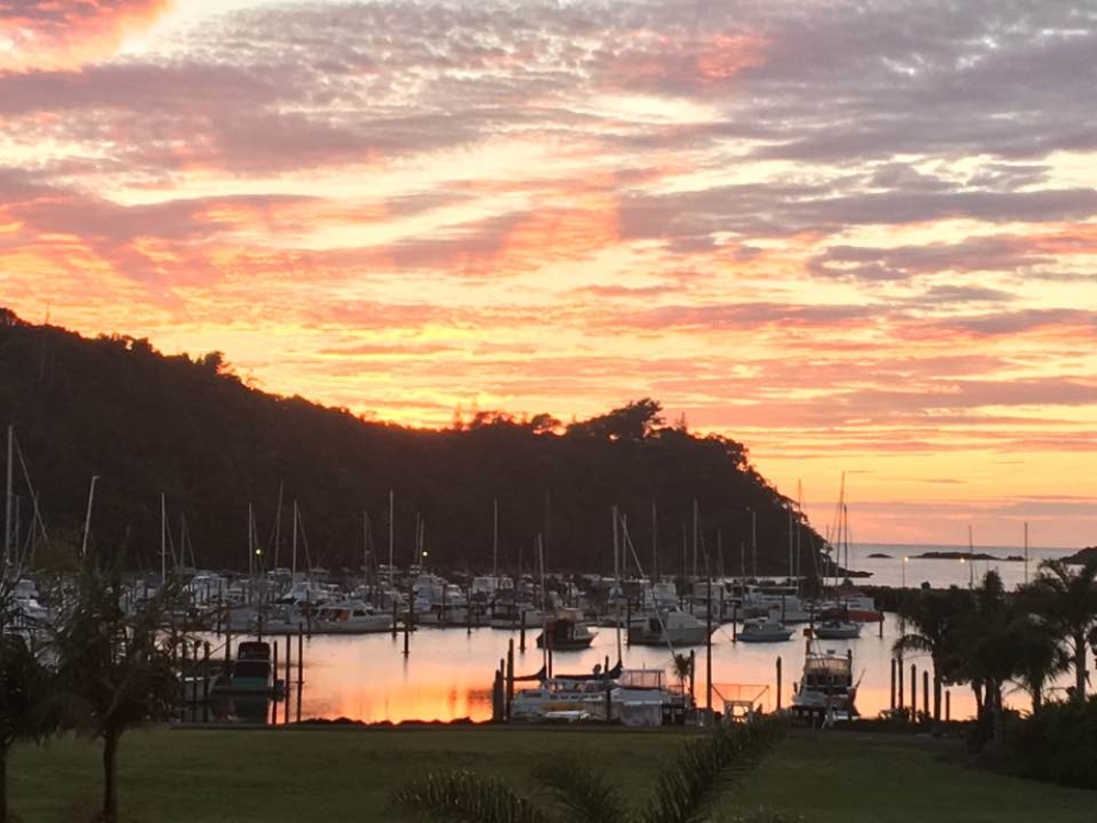 22730364 10214187551463927 4371041474197111146 n