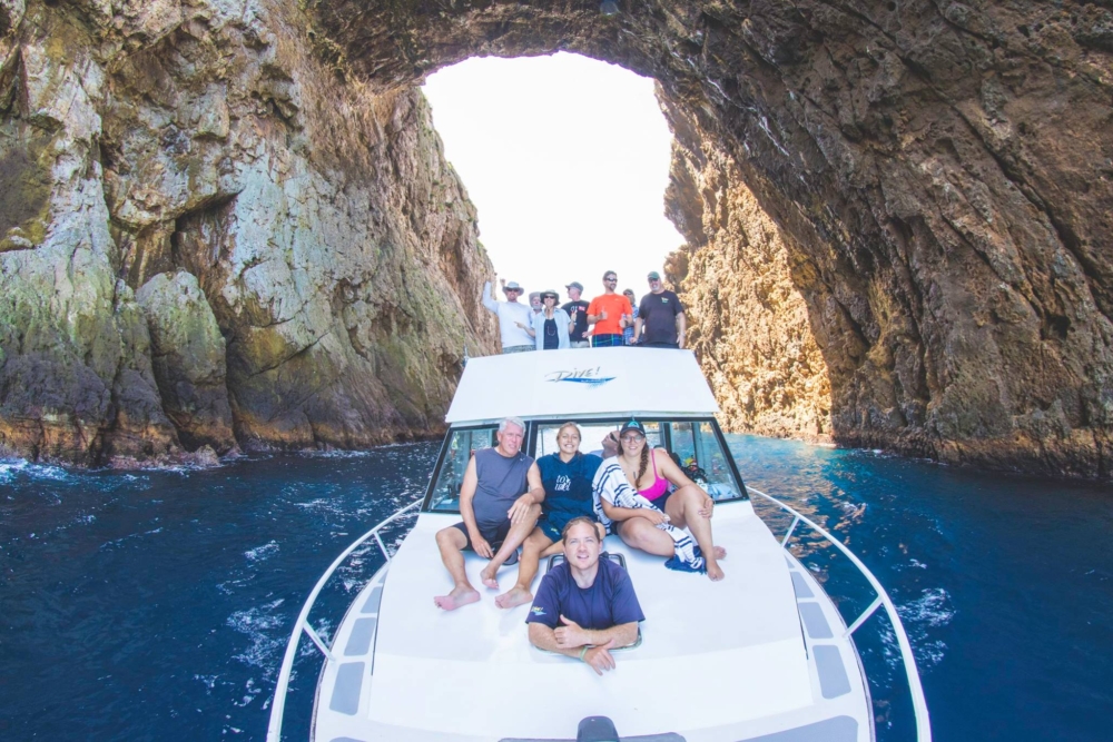 26240651 10159972299780128 458591006811864849 o