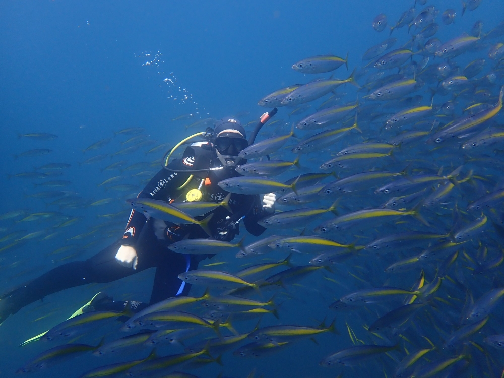 83327018 10162950503355128 8651465732296540160 o