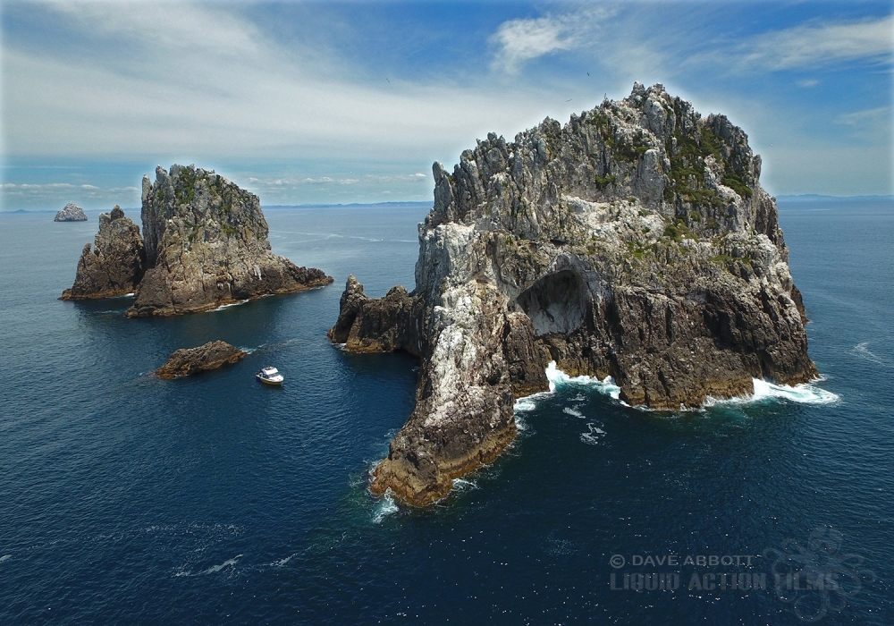 84094044 10158113631528784 4864811135787859968 o