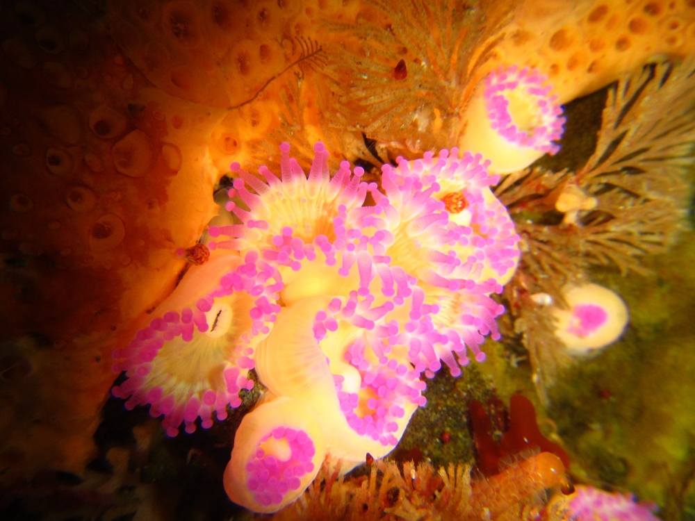 86350826 10163063614370128 1989111260150497280 o