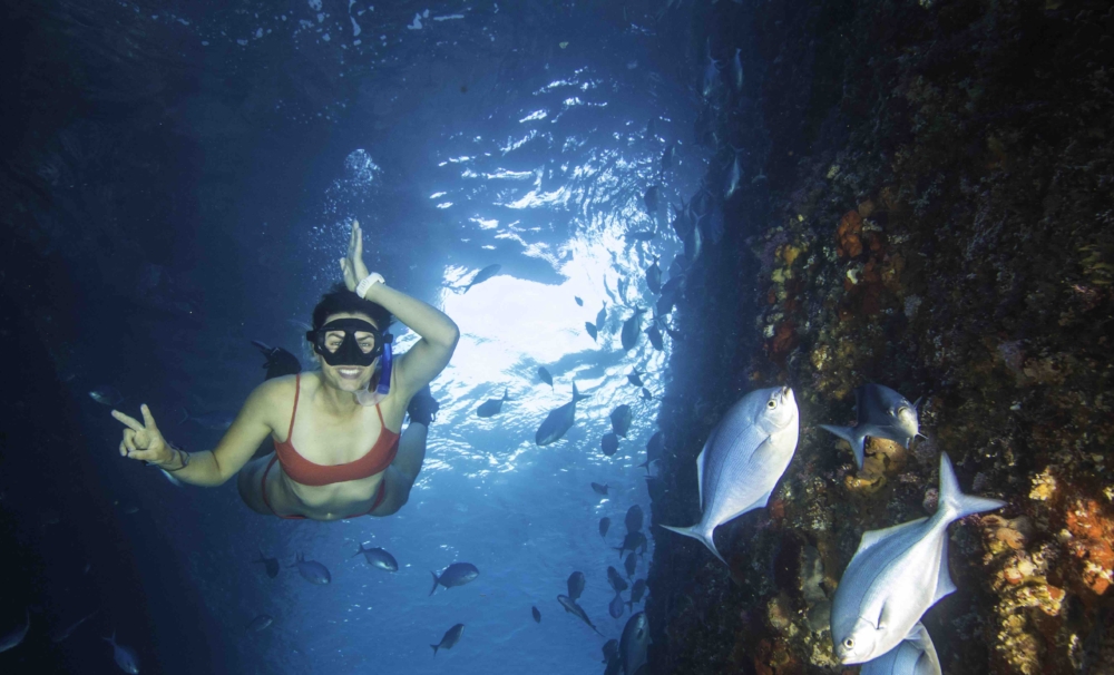 Ash-in-Northern-Arch