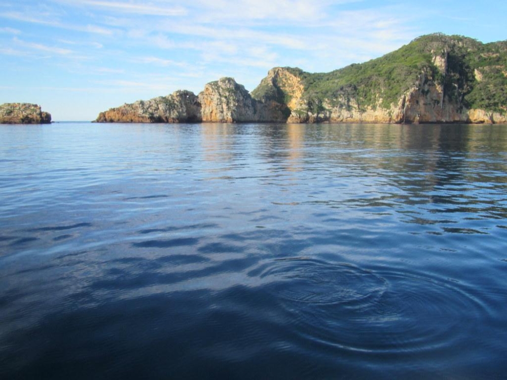 Bright-Arrow-5.07-84 1