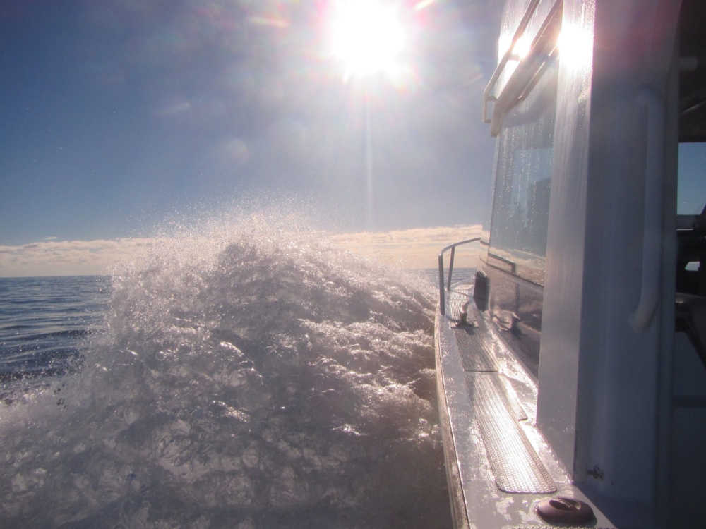 Bright-Arrow-on-the-way