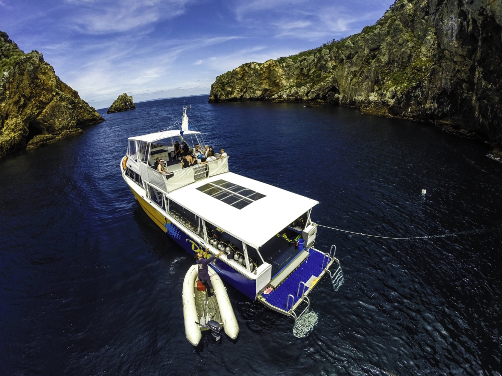 Calypso-South-Harbour