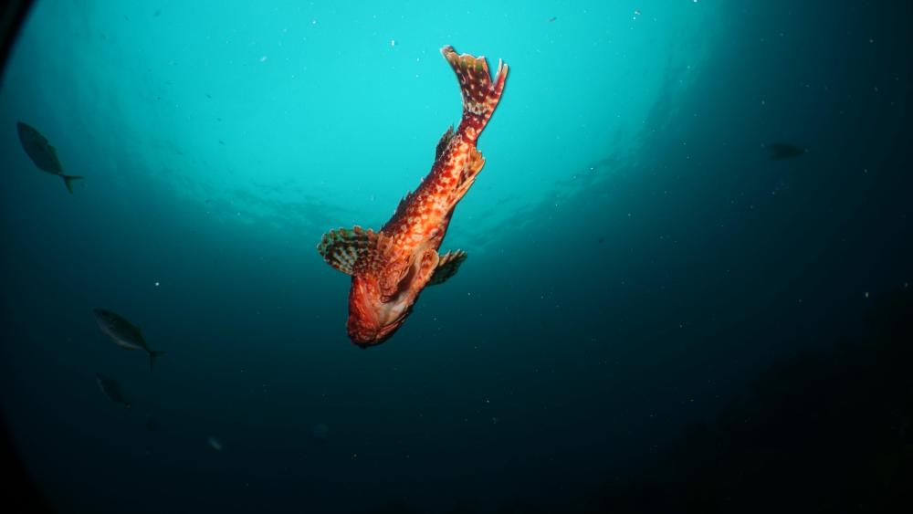 DSC01803BA-Simone-04.10.19