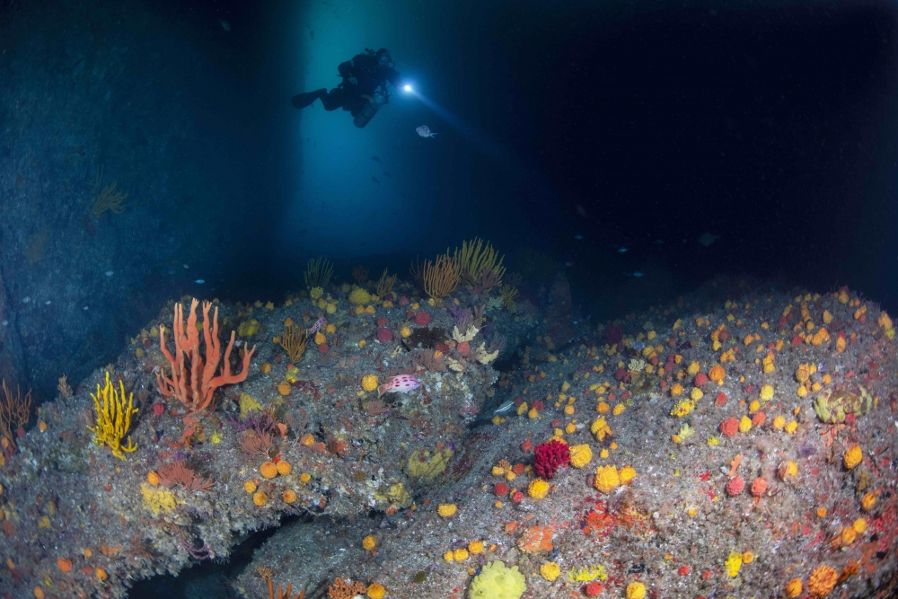 David-Nothern-Arch-3