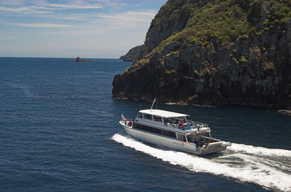 Dive-Tutu-air-6951-1