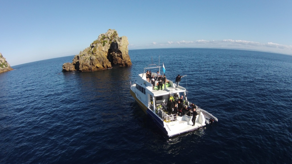 El-Tigre-Photo-by-Pete-Mesley