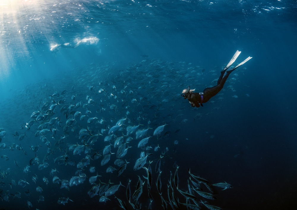 FREE-DIVE-Kimba Simone