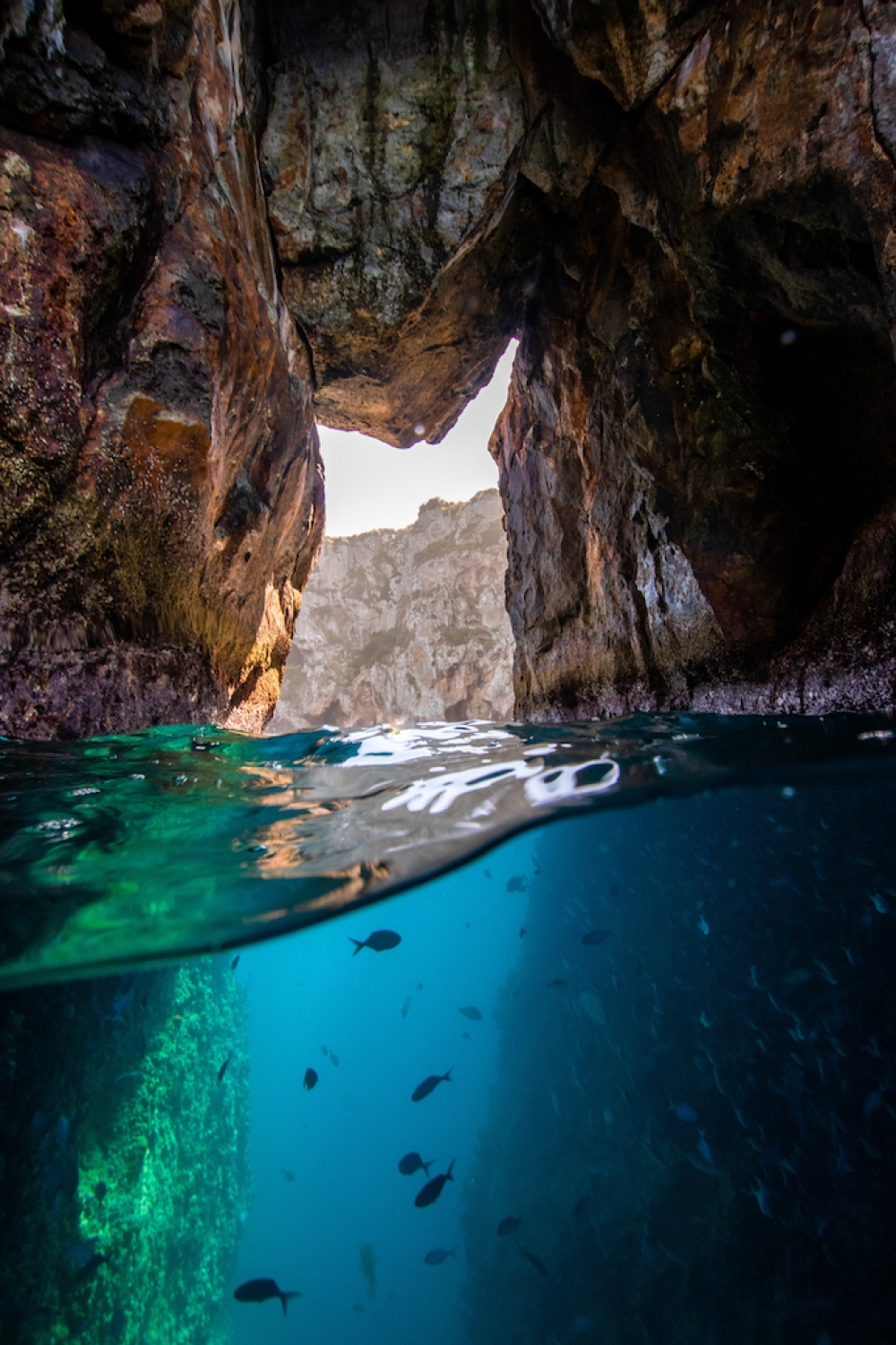 JA-Northen-Edit-small-version