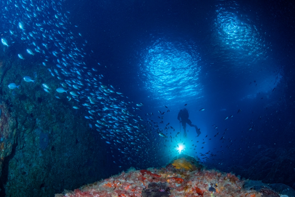 Richie in blue maomao Skip