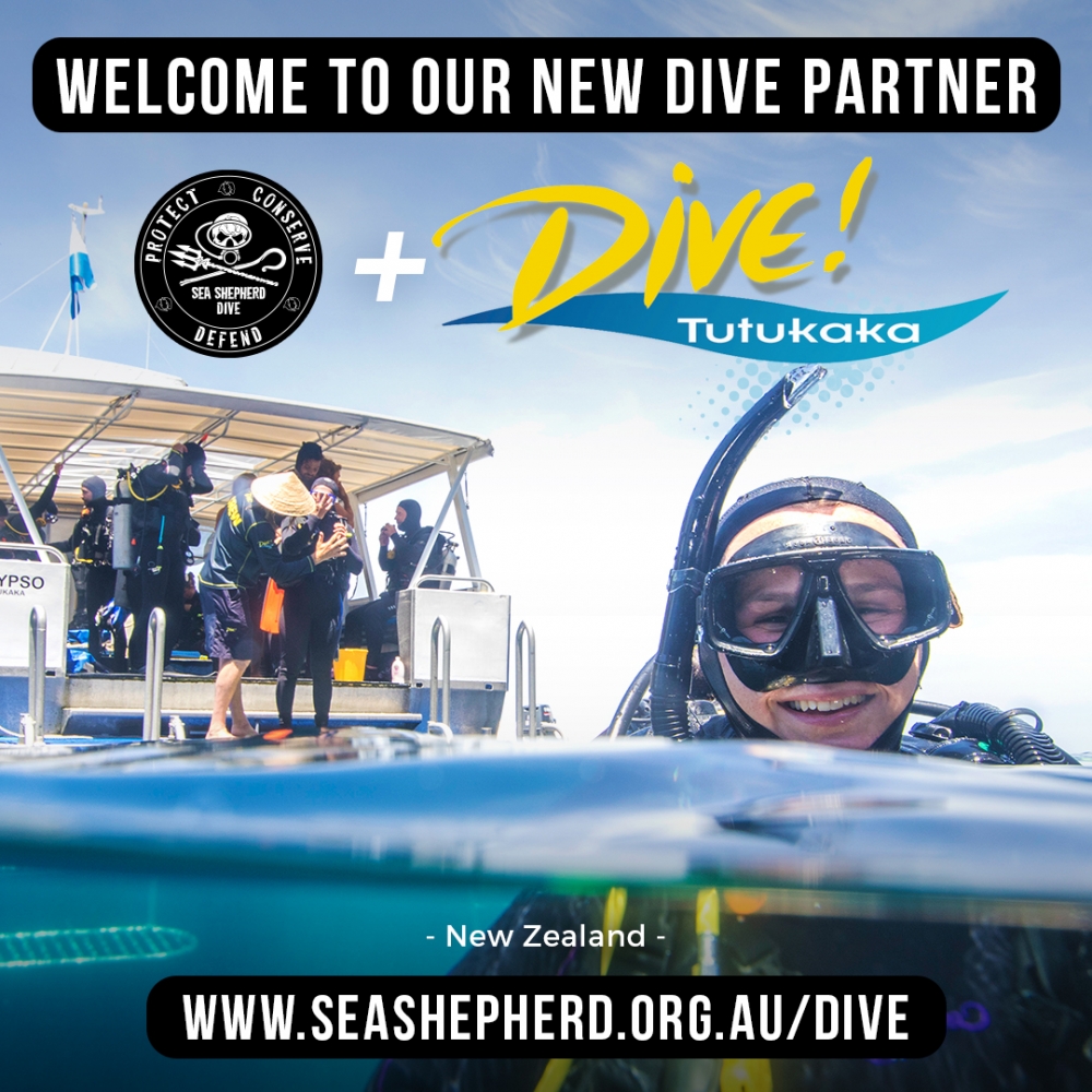 SSD Welcome Tutukaka