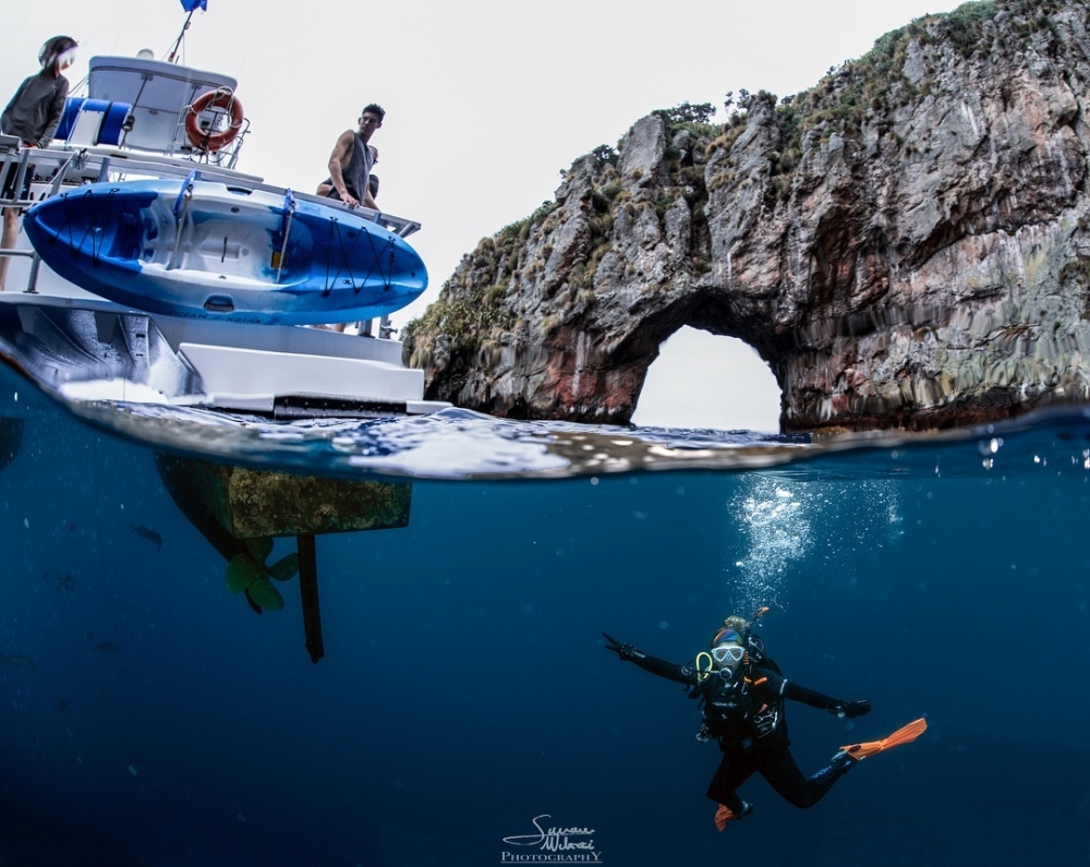 Simone-halfinhalfour-Rose