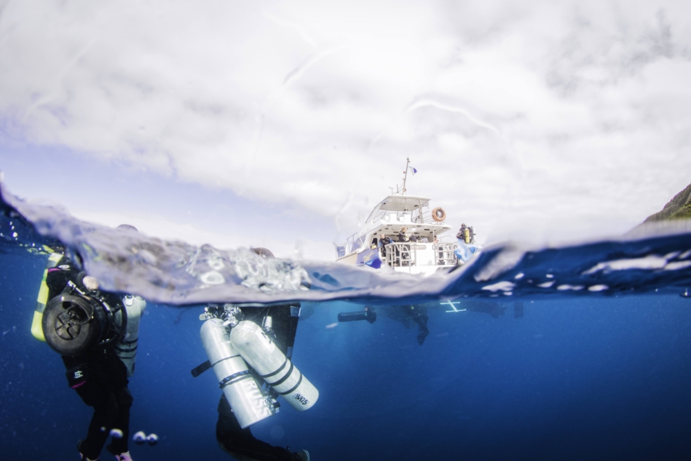 Split-tech-Diversity