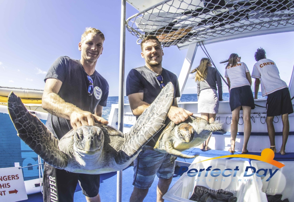 Turtle-Release-14.03.18-Jack-Austin