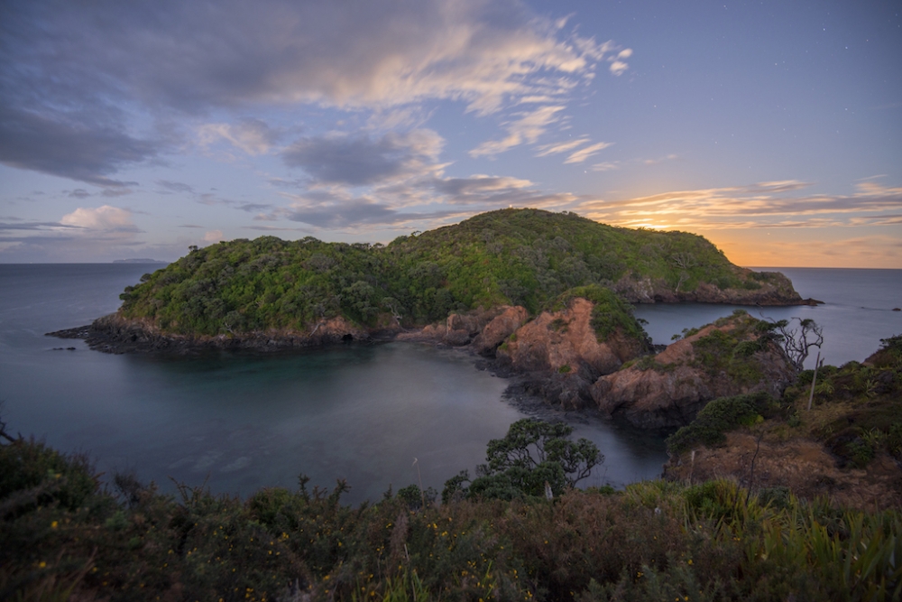 Tutukaka-Coast-8-copy-2