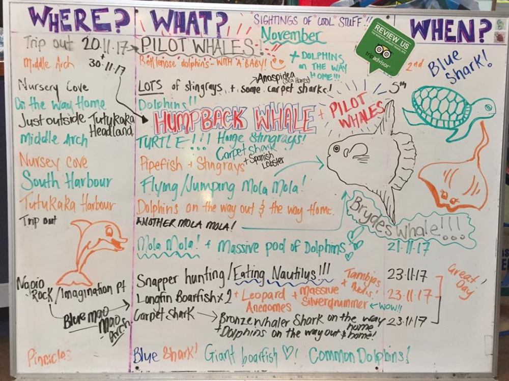 What-we-saw-November