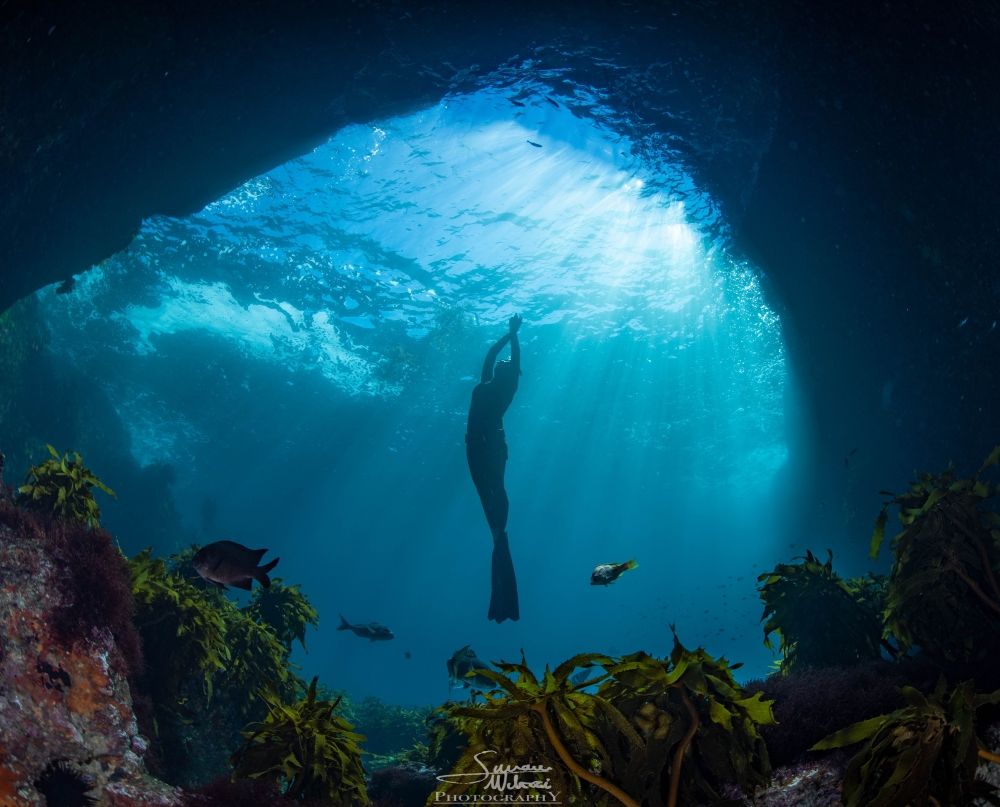 kimba8.small-Simone-Matucci