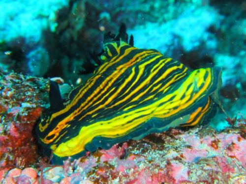 13592367 10157266869175128 7092568120639607517 n