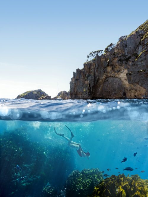 4116-Poor-Knights-Islands-Northland-Fraser-Clements