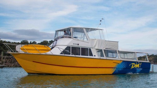 Calypso