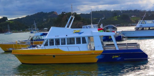 El-Tigre