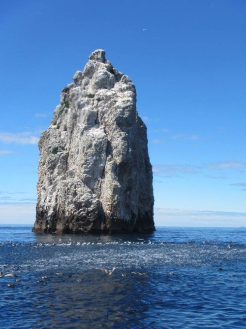 November-Monthly-2015-5