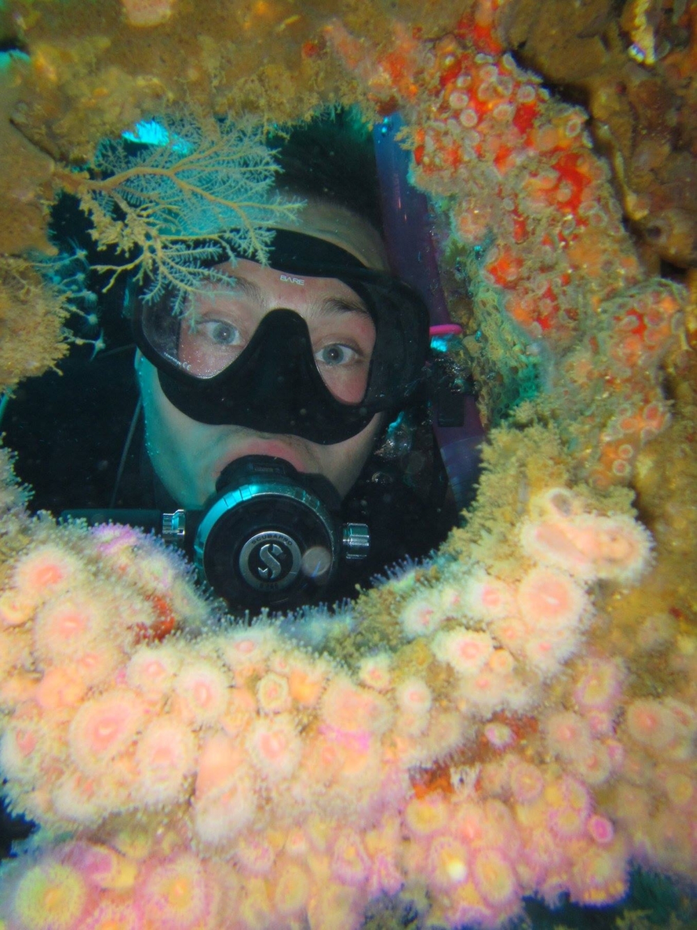 15800450 10158165985925128 6261482312689451026 o