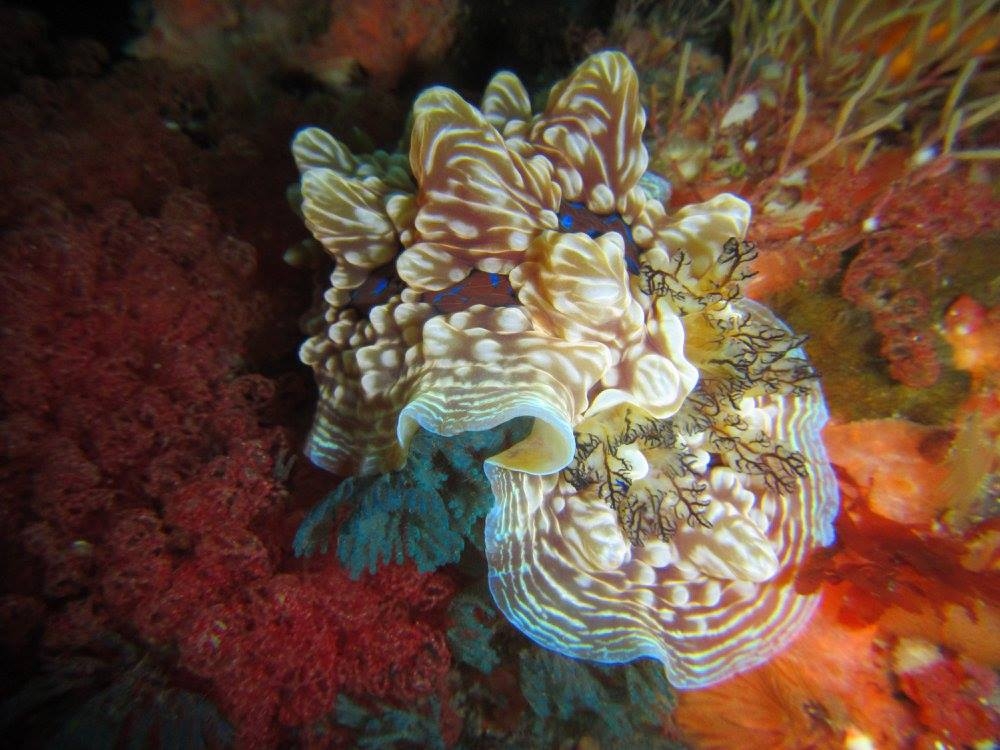 18891906 10158949556500128 2511682320717154966 o