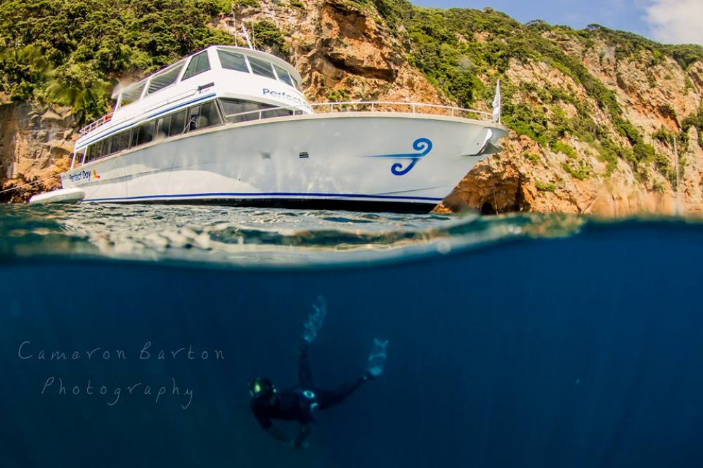 12806027 515683705277558 5070648605043553396 n