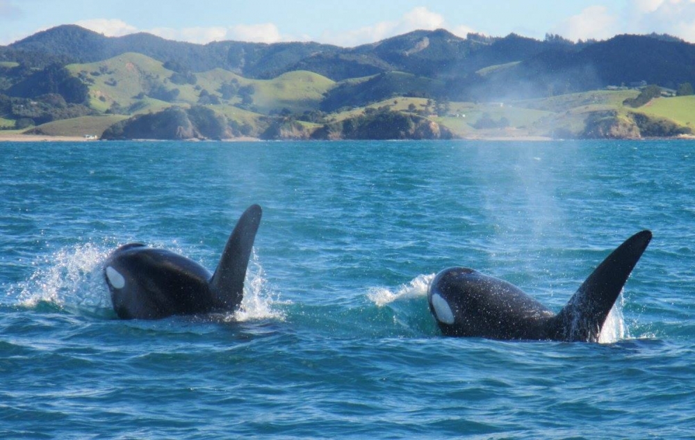 13403097 10157192808780128 6900166179035107578 o